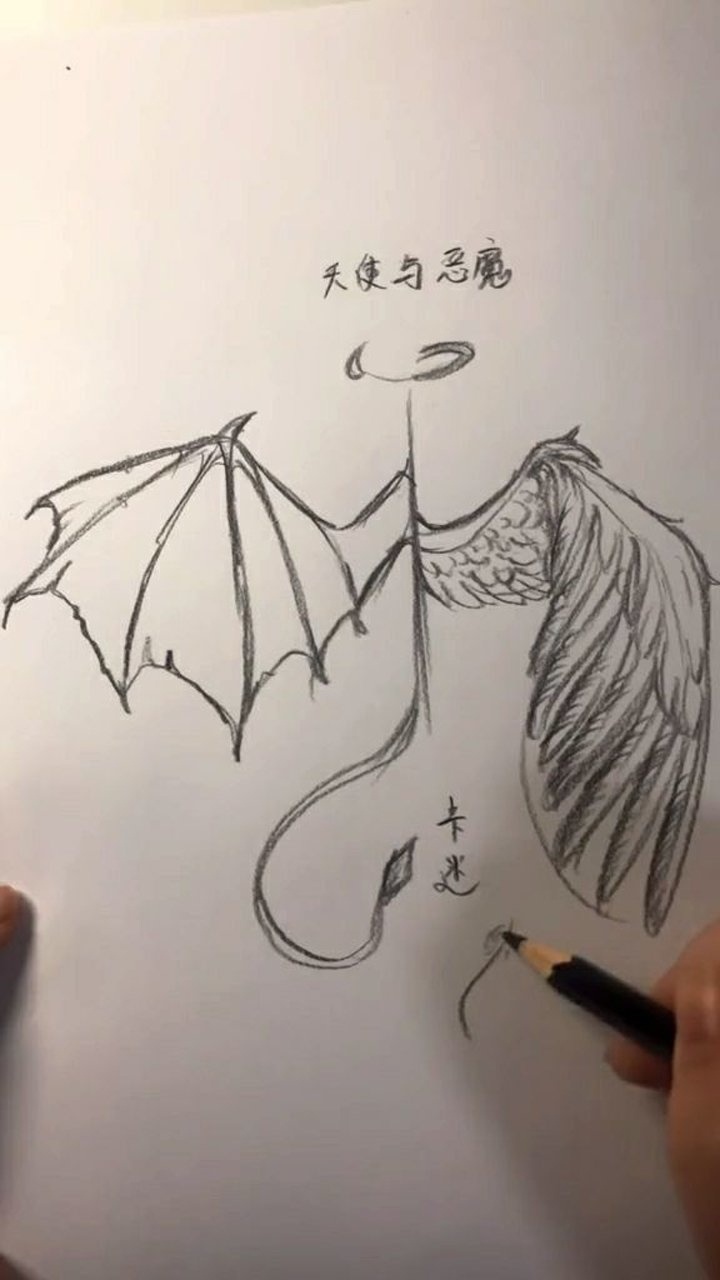 今天画一对天使与恶魔的翅膀,我更喜欢恶魔的翅膀哦
