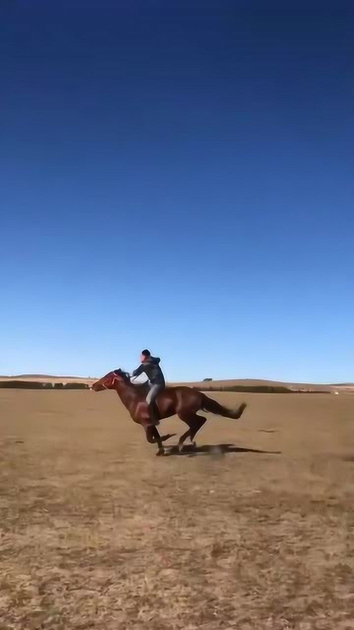 喝最烈的酒,骑最烈的马,网友:好想和你骑马喝酒走四方