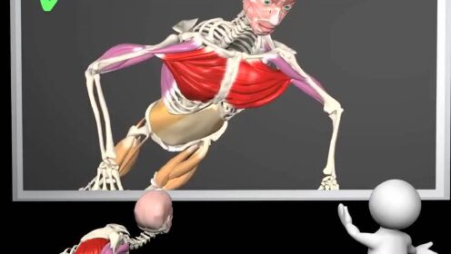 从解剖学的角度告诉你，如何才能做一个标准的俯卧撑