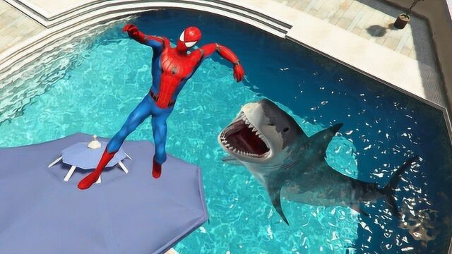 蜘蛛侠:蜘蛛侠与鲨鱼