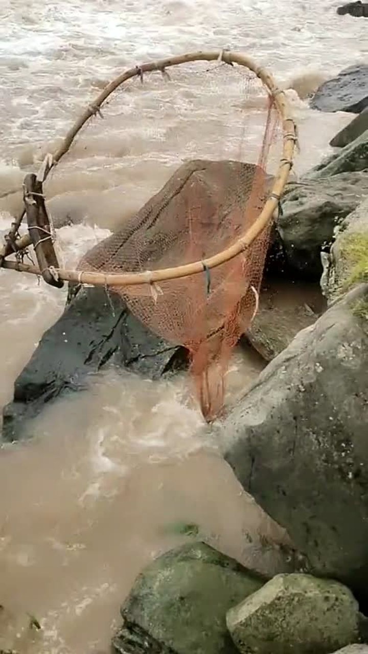 农民在河里捞鱼,随随便便一捞,就够一家人吃大半年!