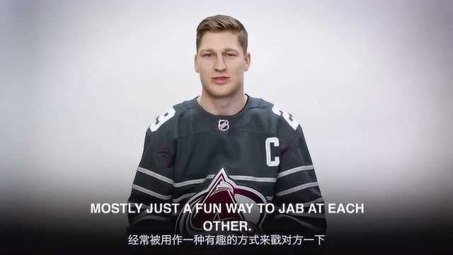 NHL冰球俚语小课堂:Pigeon在冰球里是什么意思呢?