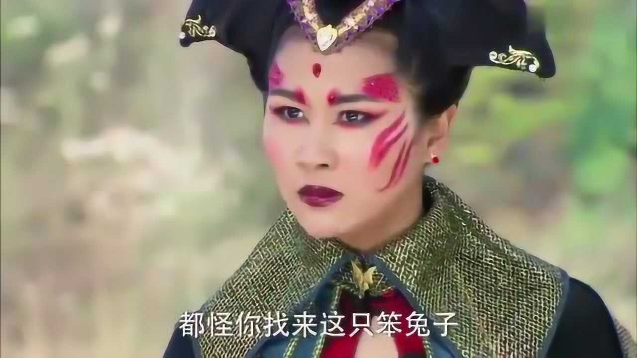 活佛济公兔子精受伤萧风把她抱走了追风吃醋不回去住了