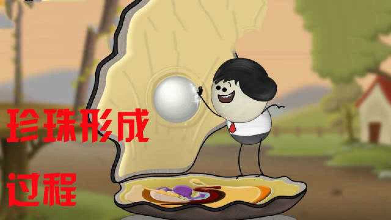 珍珠形成的过程，堪称血和泪的进化史，镜头拍下全过程_高清
