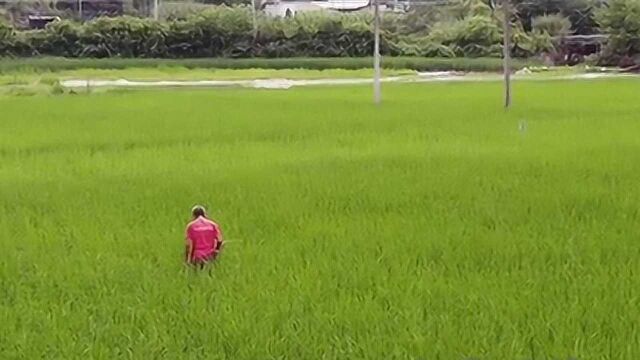 从贫困小村到美丽乡村 资阳村民乐享幸福新生活