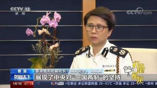 专访香港警务处副处长(国家安全):全力执行香港国安法|央视网