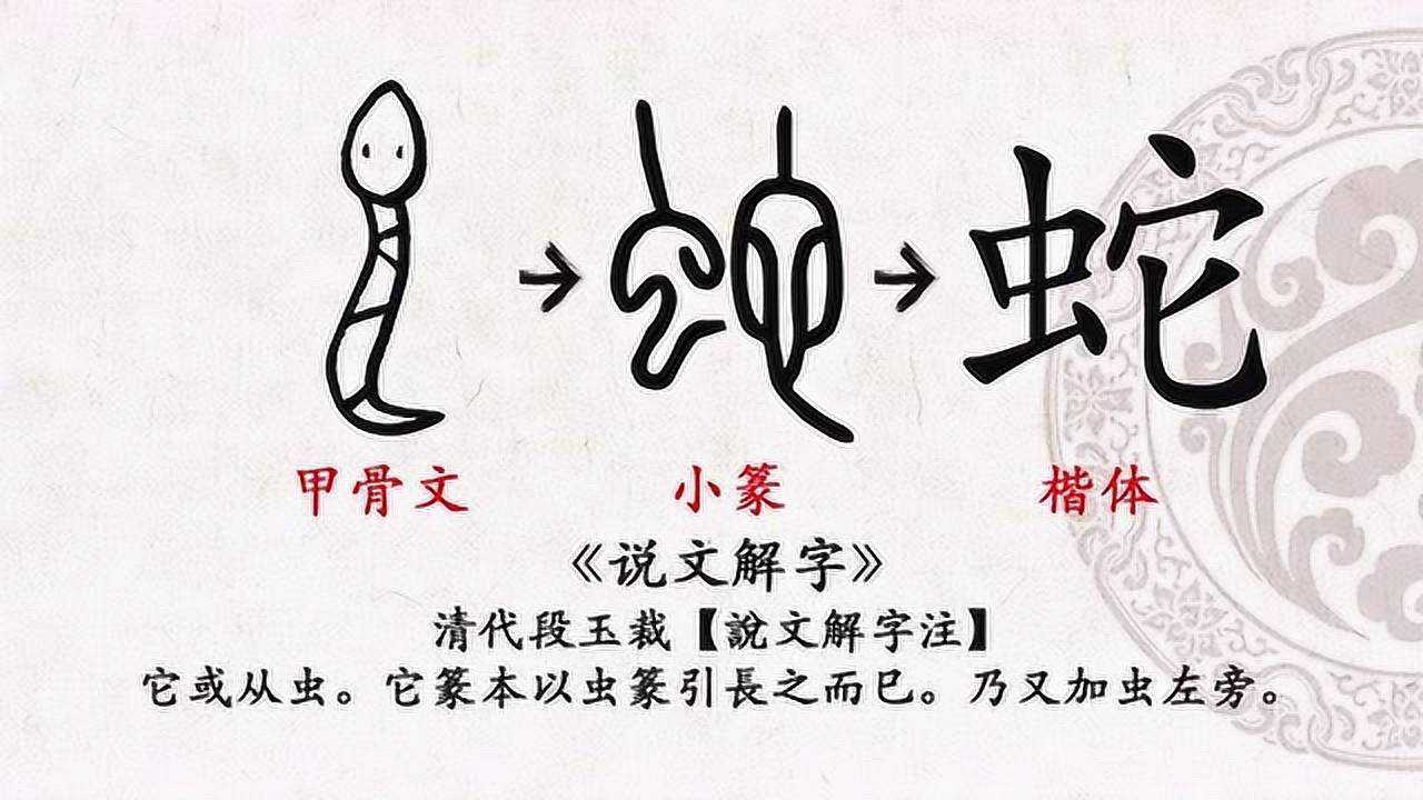 蛇的甲骨文字图片图片