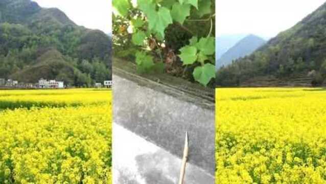 今年6月份去安康旬阳县大山里做勘测,上一小段带大家看看大山