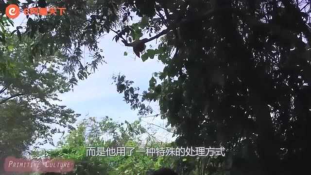 男子买了只5斤的鸡,沾满蚂蚁后,懂行的人却说是行家?