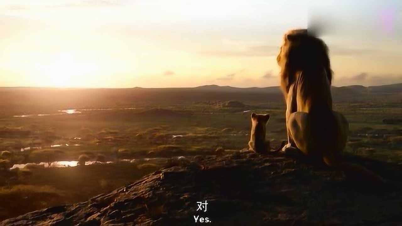 狮子王辛巴和父亲坐在山巅看太阳父子俩的背影好温馨