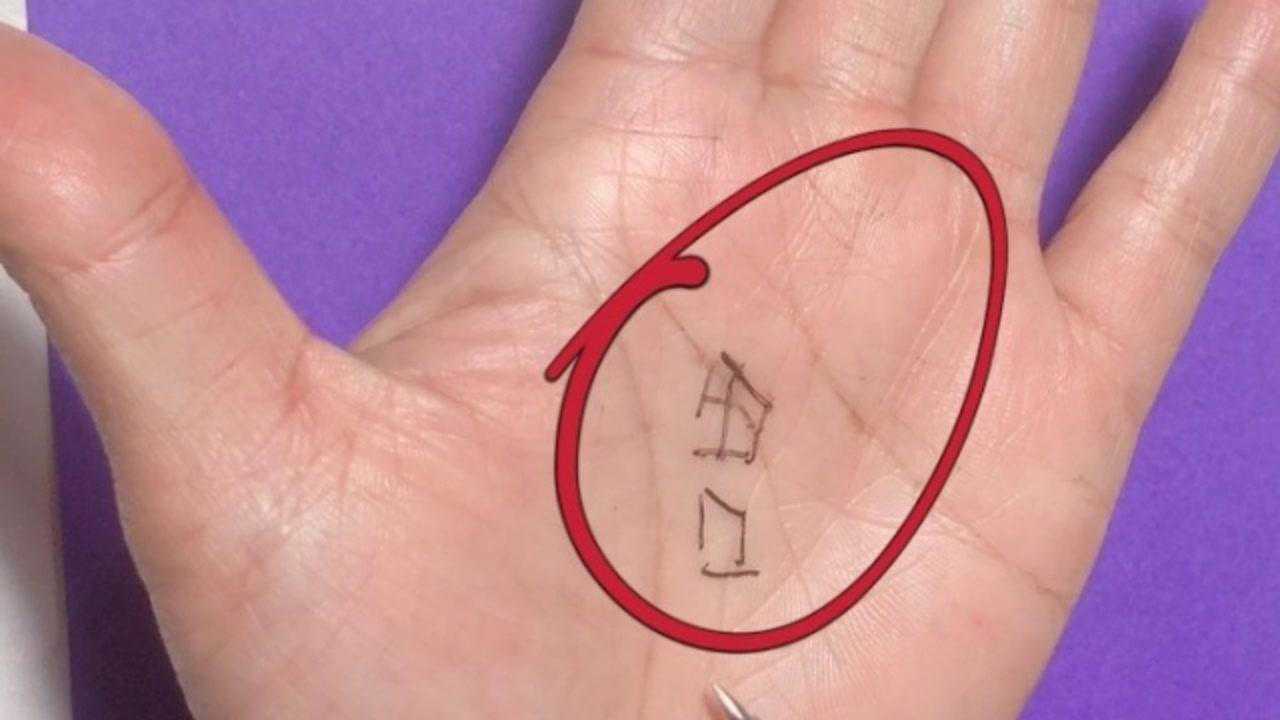 你手中有田字纹和口字纹出现吗出现的频率会比较高它代表什么含义