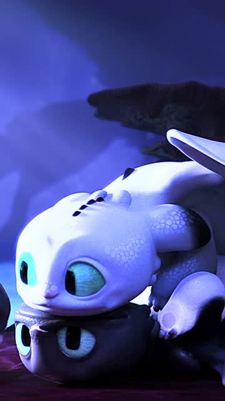 驯龙高手剪辑这三个小可爱又来了有谁想要认领吗