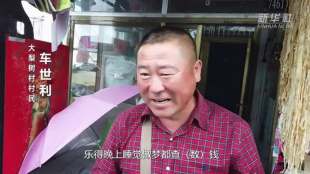 走向我们的小康生活|从“辽宁蓝”到“花果山”——辽宁推进生态文明建设剪影