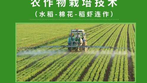 第一节 超级水稻高产栽培技术（上）