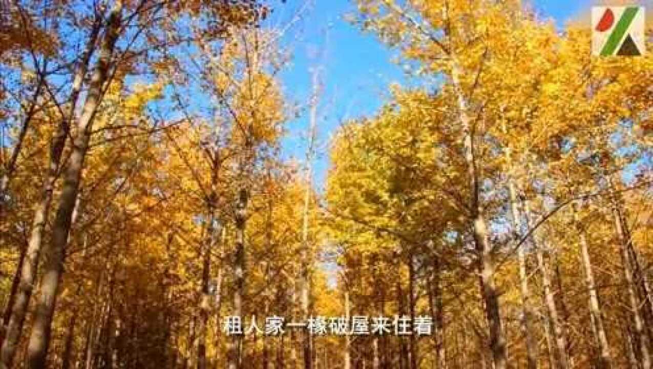 央广老一辈播音员陆洋朗诵《故都的秋》_高清