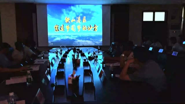 北海速度!南宁铁山港商会企业家返乡考察