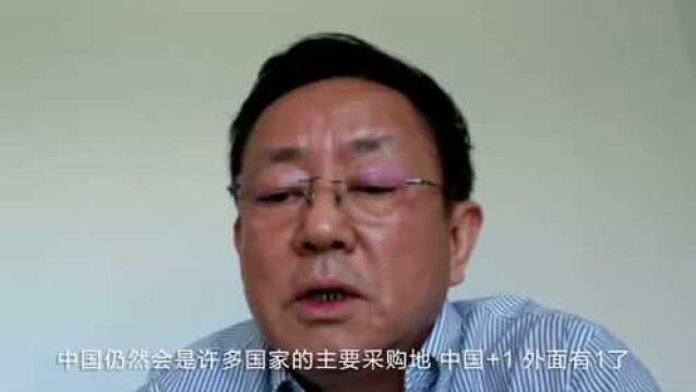 全球产业链怎么调?樊纲:做足预判,做好准备