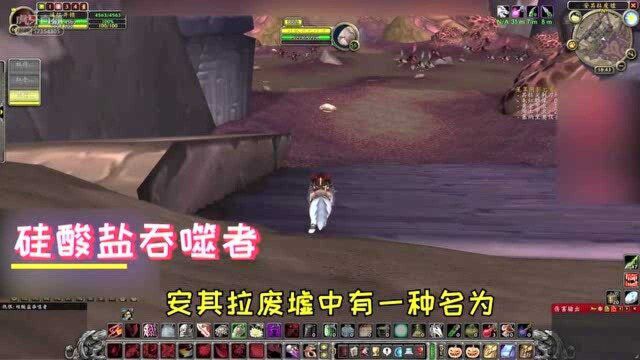 魔兽怀旧服TAQ废墟刷虫子,掉落丰富还没有难度