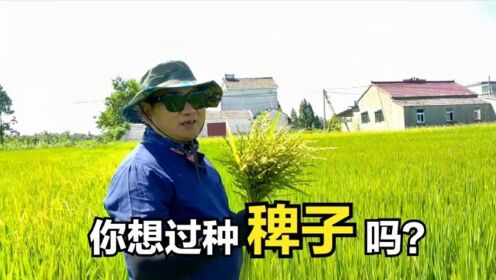 [图]种水稻不赚钱，稗子好长营养更好，还有药用价值，为啥没人种呢？