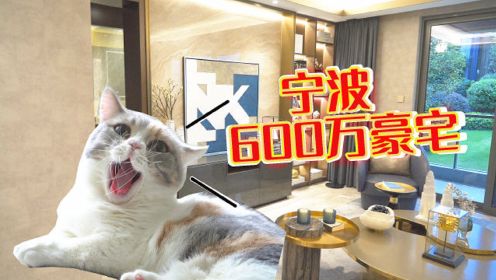 为了养猫买下600万豪宅，带2000㎡会所房子长啥样？