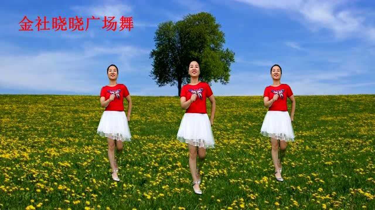 金社晓晓广场舞《野花香 》