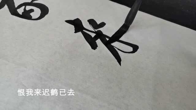 书法作品欣赏对联:恨我怪人