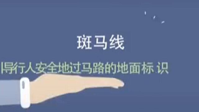 文明交通,从礼让斑马线开始