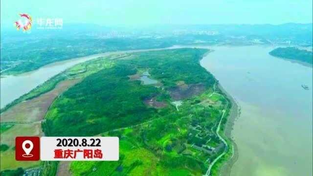 长江上游最大江心岛广阳岛生态修复后试开放 来这里看诗和远方