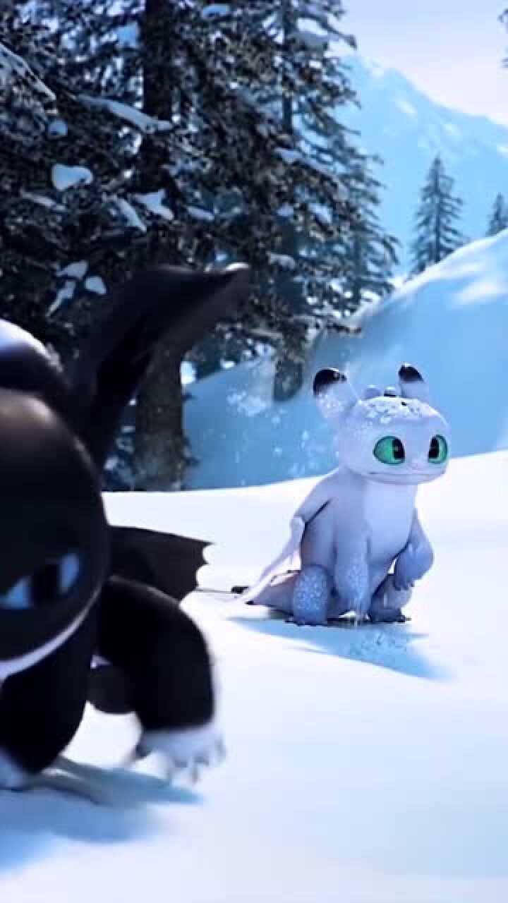 驯龙高手果然是亲生的一个夜煞一个光煞生出三个熊猫煞