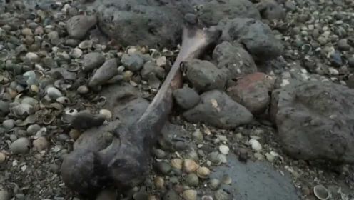英国死人岛发现约200具尸体，四散人骨从土表露出，画面瘆人