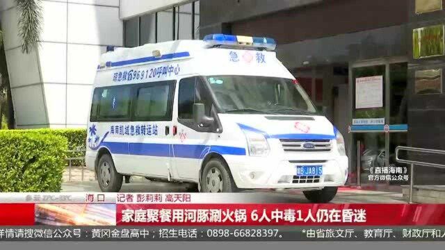 家庭聚餐用河豚涮火锅 6人中毒1人仍在昏迷