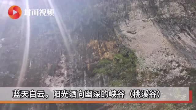 巴山大峡谷景区党工委书记于宏:成渝地区双城经济圈助景区搭上发展快车 | 寻找成渝文旅新地标