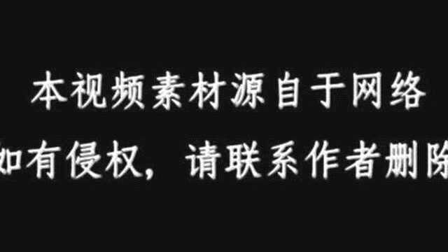 饲养的兔子不愿意接近你?很简单,三个步骤教你和小兔子亲密接触