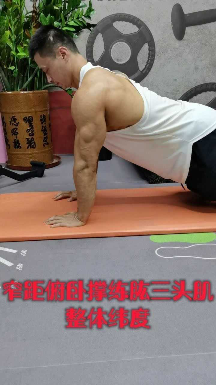 窄距俯卧撑练肱三头肌整体纬度