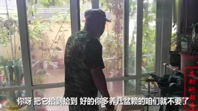 大妈凭“独特手艺”腌制的咸菜真好吃,大爷建议摆摊去卖保证赚钱