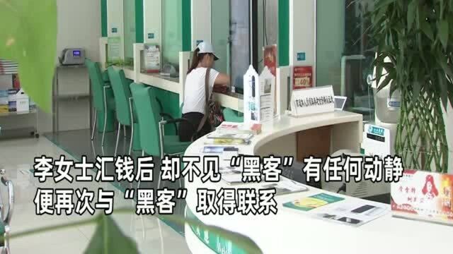 女子网上投资失败,求助“黑客”反被“黑”,民警抓到人后目瞪口呆