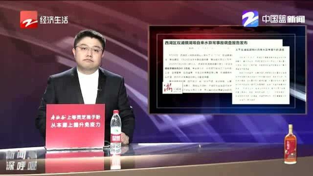 杭州西湖区双浦镇湖埠自来水异常事故调查报告发布