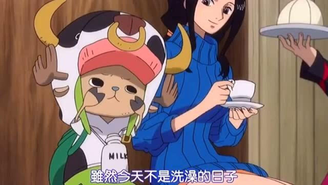 海贼王团宠乔巴娜美跟罗宾的宠爱让山治羡慕了