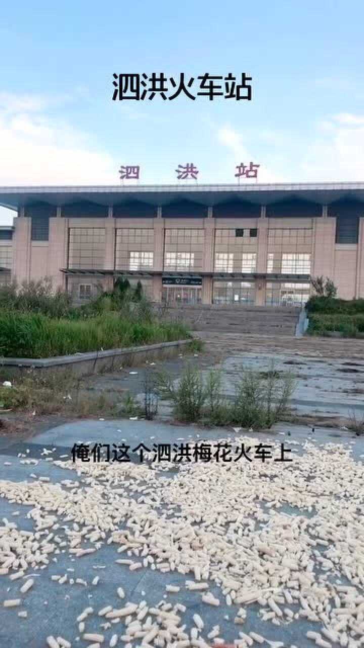江苏省泗洪县梅花镇火车站.