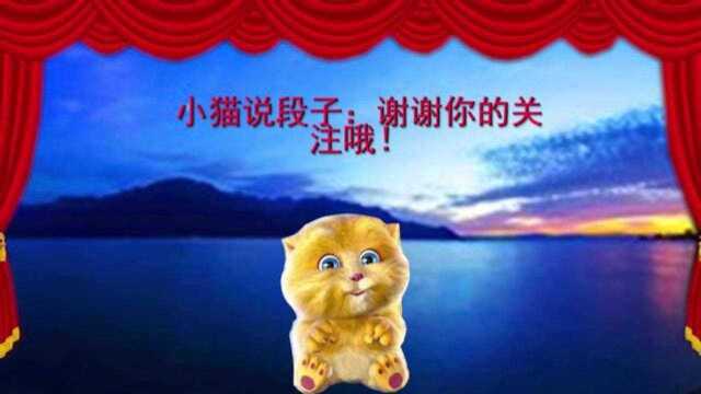 小猫讲笑话:小学生写作文,家长抓狂,老师气笑!