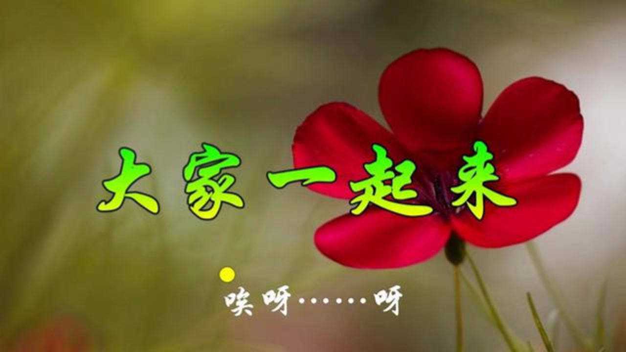 一曲快乐的歌曲《大家一起来》,实在是太好听,一起嗨起来!