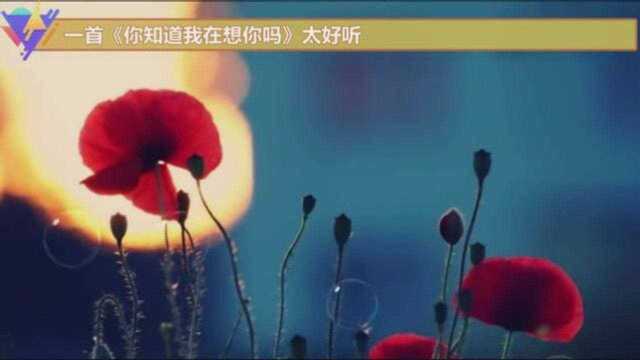 一首《你知道我在想你吗》太好听