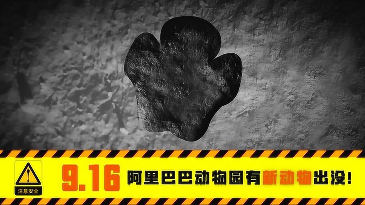 阿里巴巴新制造工厂正式曝光——犀牛智造工厂