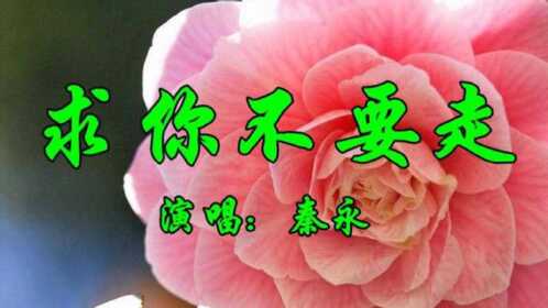秦永一首经典情歌《求你不要走》好听至极