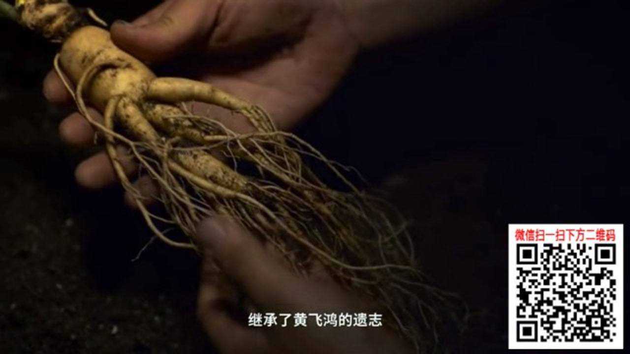 脑场李杲老师:黄飞鸿小佰草刮痧神器