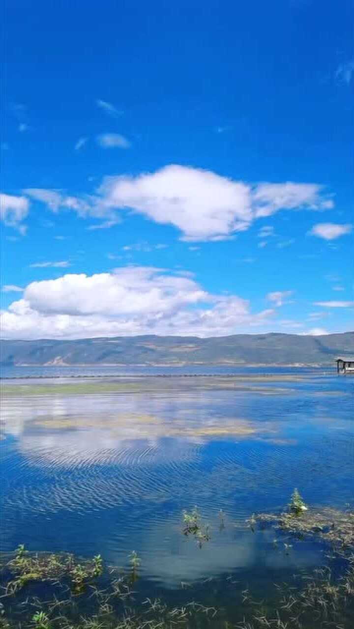 白白的云儿,蓝蓝的天,好美的画面