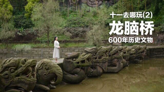 十一回家,发现家乡的美景,阳小月带你去看600多年历史的龙脑桥