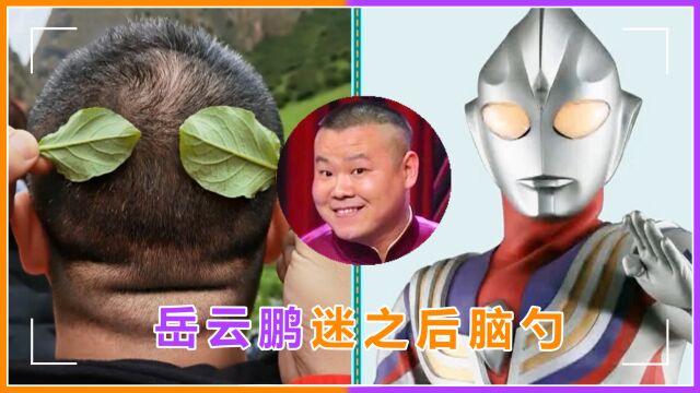 岳云鹏多功能后脑勺引爆笑,贴树叶秒变奥特曼,还曾上演山头合一