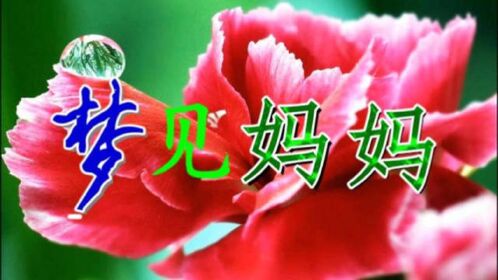 梦见妈妈听哭了多少不在父母身边的人