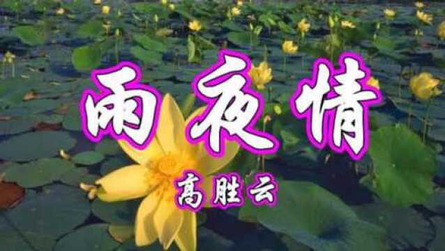 高胜云一首经典情歌《雨夜情》甜美醉人